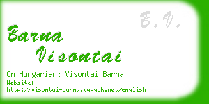 barna visontai business card